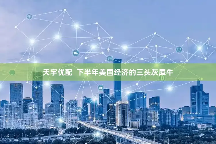 天宇优配  下半年美国经济的三头灰犀牛