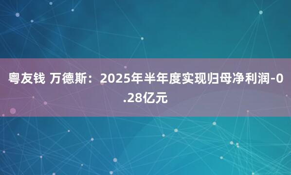 粤友钱 万德斯：2025年半年度实现归母净利润-0.28亿元