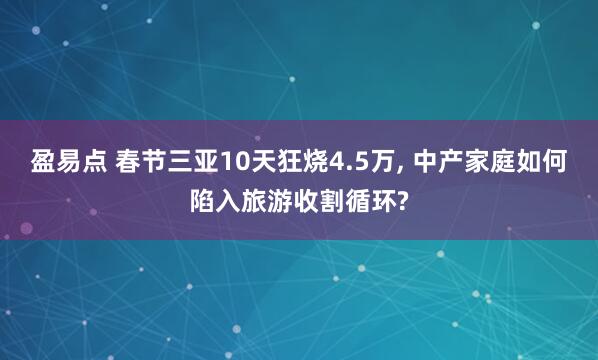 盈易点 春节三亚10天狂烧4.5万, 中产家庭如何陷入旅游收割循环?